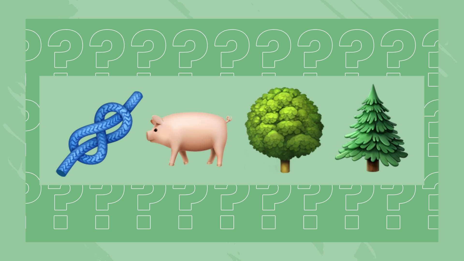 对于卡里乌 对于卡里乌