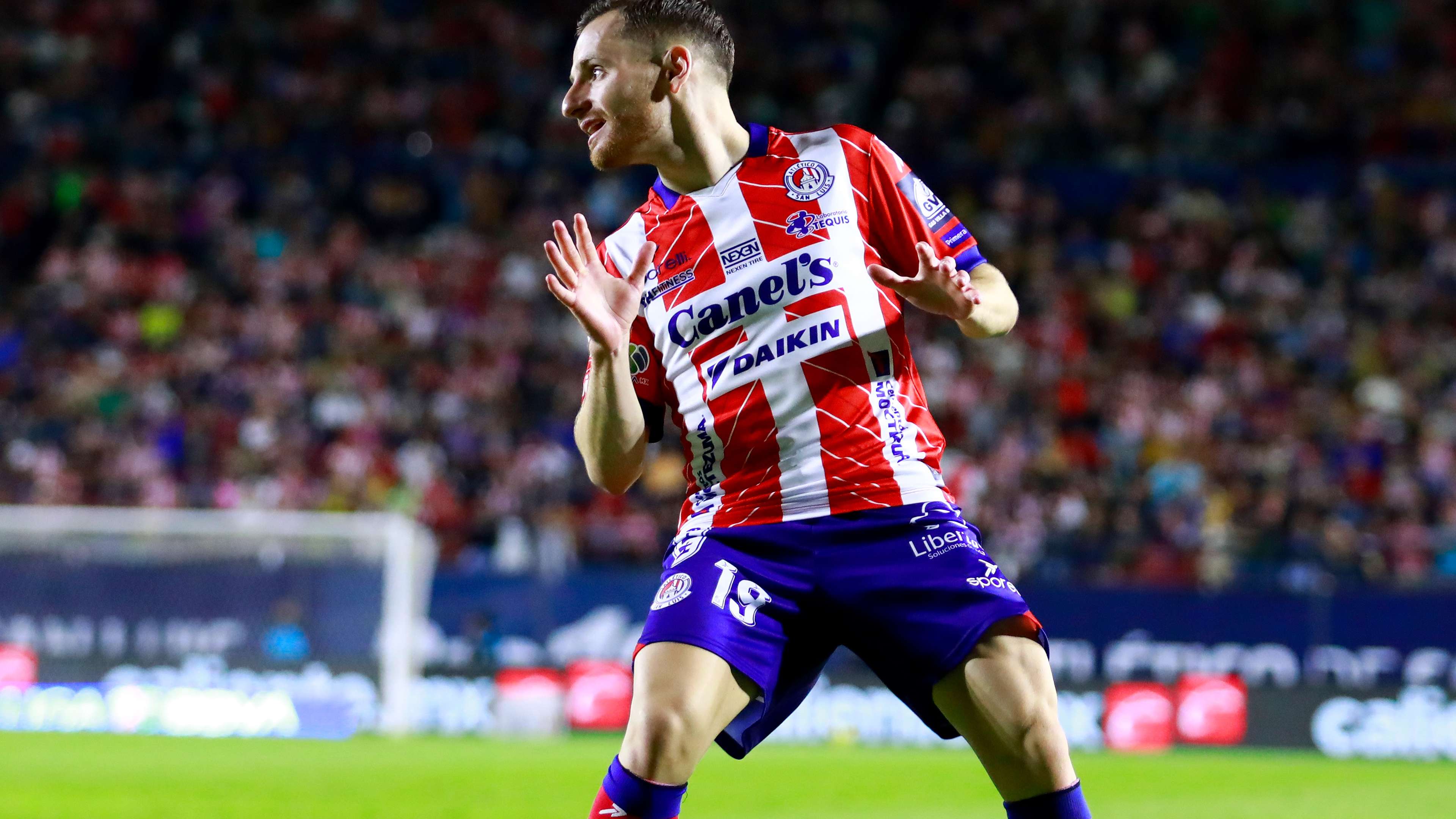 使他能够在 使他能够在