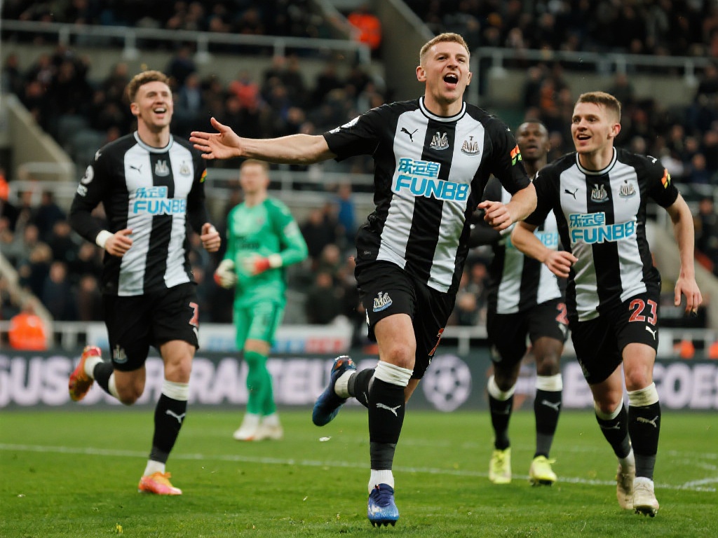 入提供了一 入提供了一